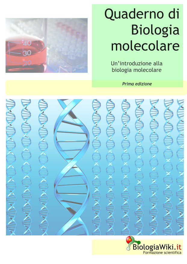 Copertina quaderno di biologia molecolare